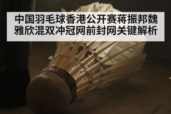 中国羽毛球香港公开赛蒋振邦魏雅欣混双冲冠网前封网关键解析